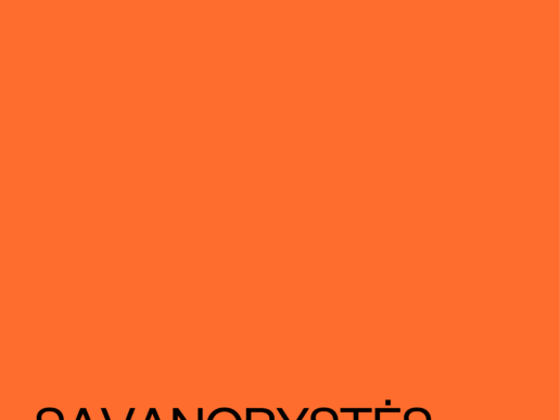 Savanorystės programos metodologija