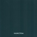 Kauno žydai