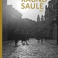 Kauno saulė. – Kn. 1