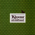 Kauno atradimai