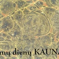 Anų dienų Kaunas 