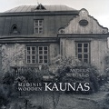 Medinis Kaunas